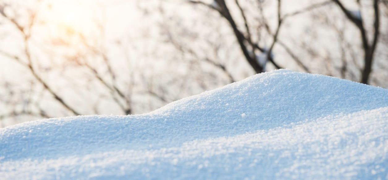 Neige