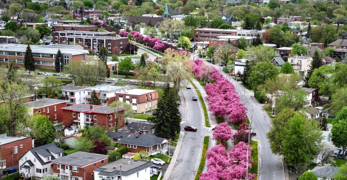 Longueuil vue de haut fleurs
