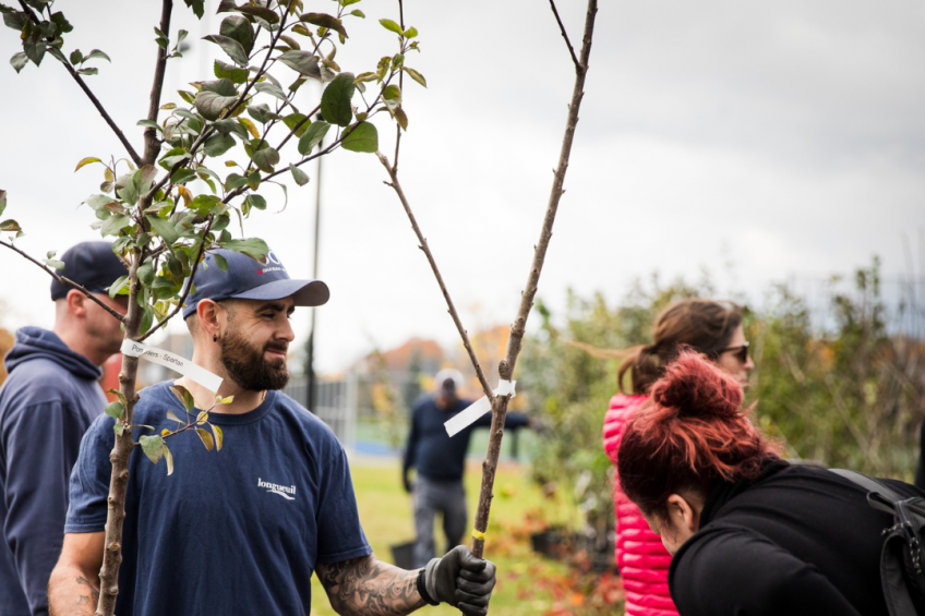 Distribution d'arbres gratuits